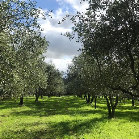 Agriturismo Podere I' Caldino Troghi ภายนอก รูปภาพ