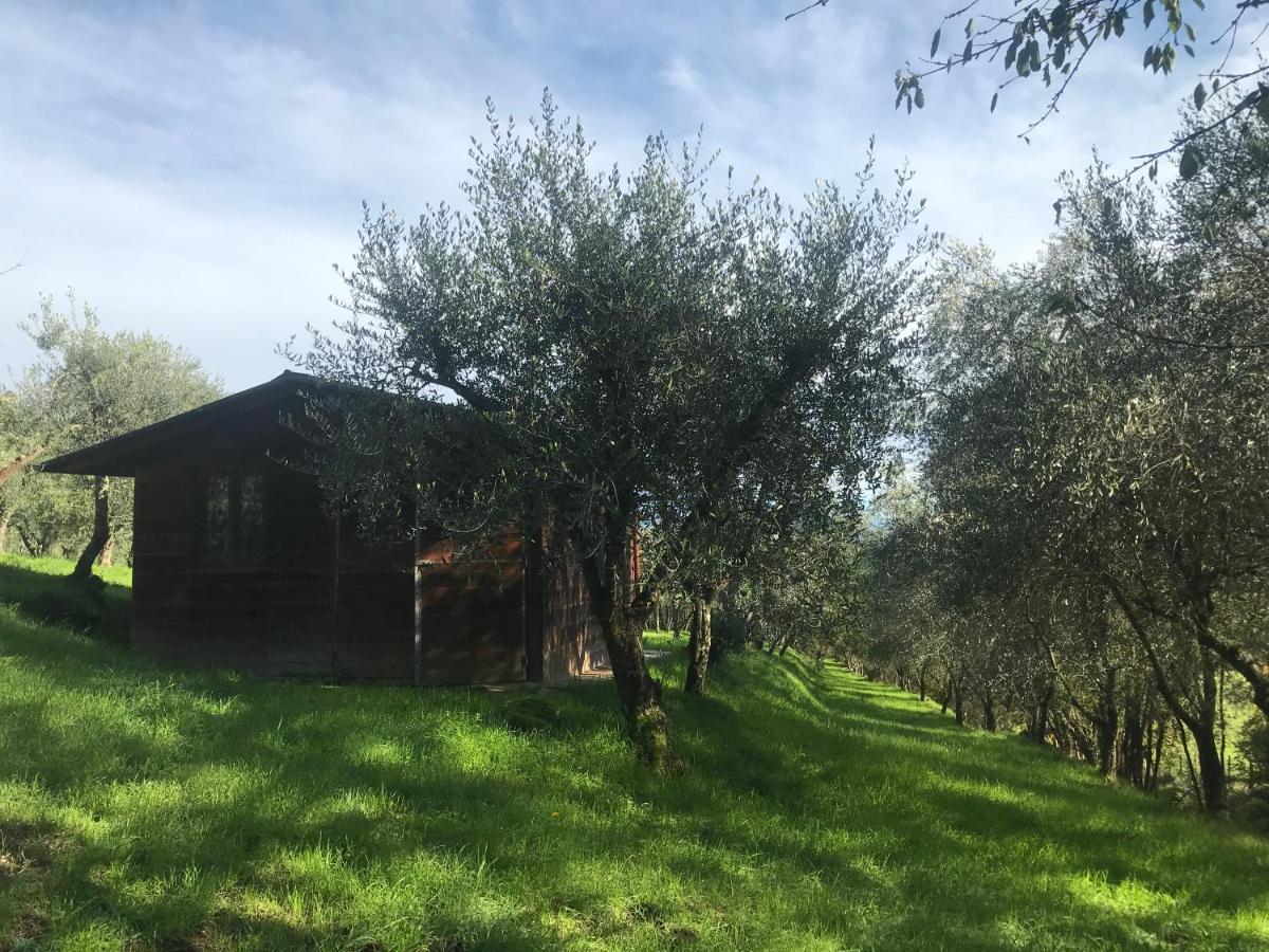 Agriturismo Podere I' Caldino Troghi ภายนอก รูปภาพ